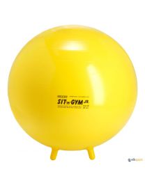 Sit Gym 45 Gymnic