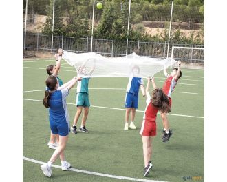 Superjuego de la red