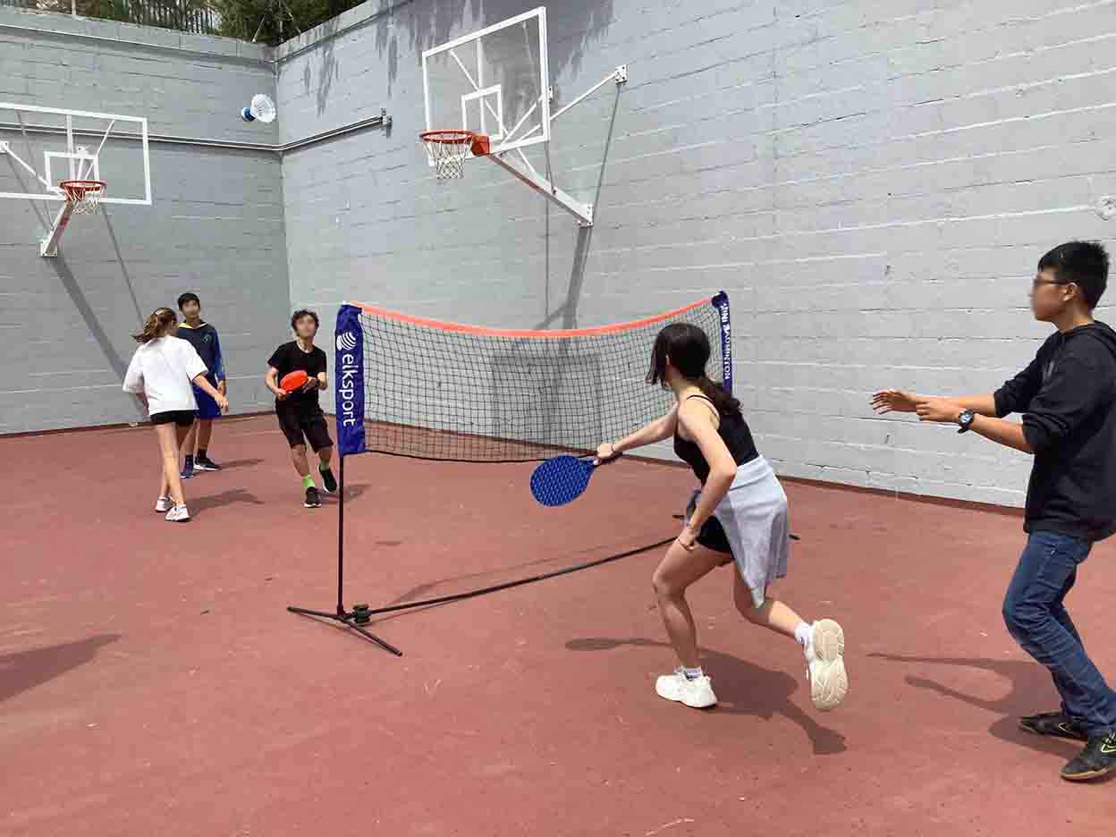 Material de Shuttleball