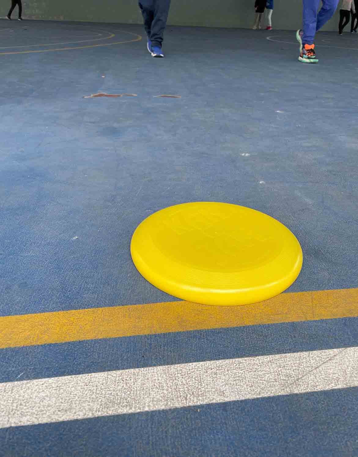 Juego de blanco y diana con frisbee